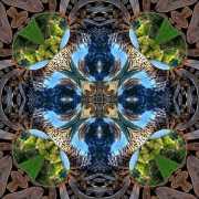 Arte-Sella-1