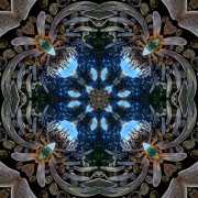 Arte-Sella-8