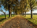 Freihamer Allee, München