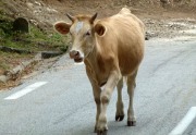 Motorradtour-2012-Korsika-22