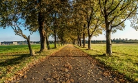 Freihamer Allee bei München