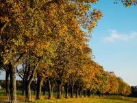 Freihamer Allee bei München