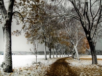 Freihamer Allee bei München