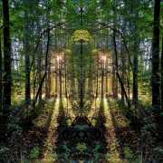 Wald-2