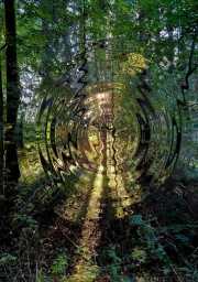 Wald-3