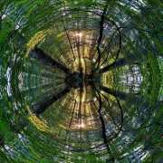 Wald-4