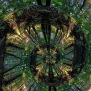 Wald-6