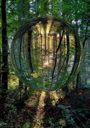 Wald-7